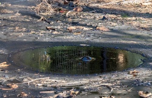 Dakrenovatie in Drenthe — vakkundige uitvoering